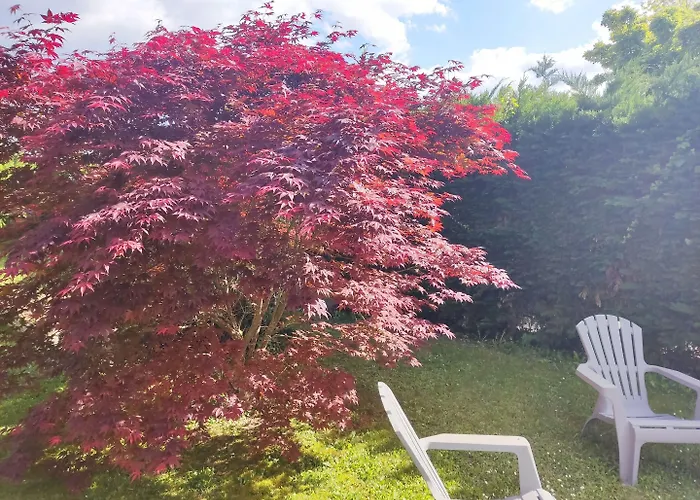 Chez Isa Et Dens Frühstückspension 3*